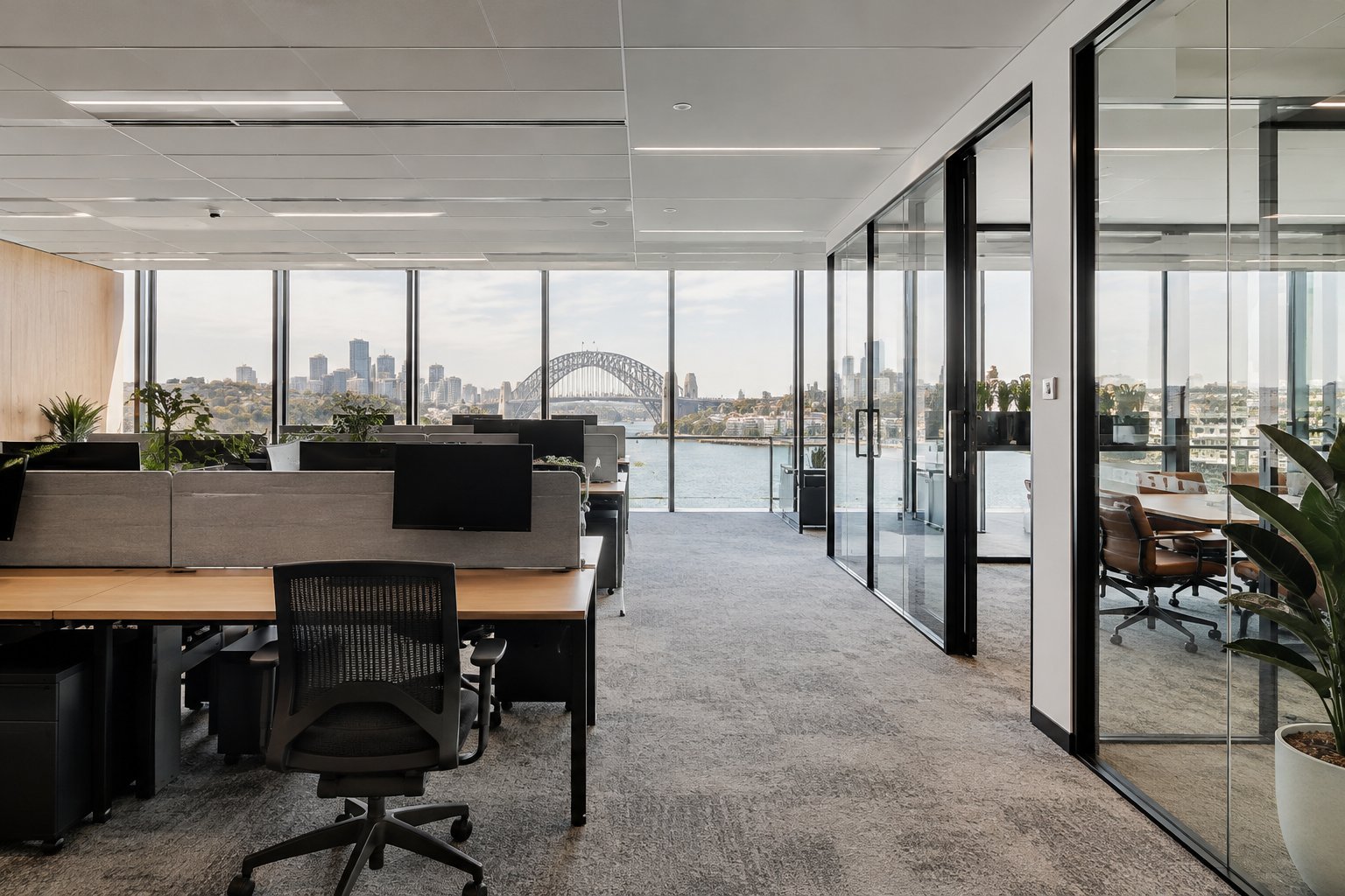 Finished modern Sydney office with workstations and glass meeting rooms